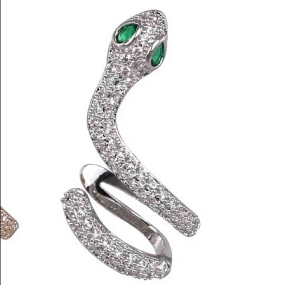 Snake single earring
